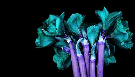 ALL ABOUT COLOUR