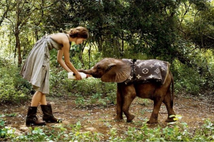 Keira Knightley with Elephant. 2007, by Arthur Elgort, the actress in a green dress feeding a baby elephant who is wearing a Luis Vuitton blanket