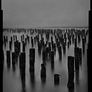 PIERS, HUDSON RIVER, NEW YORK by Mark Seliger, blak and white photography of wooden stilts in water