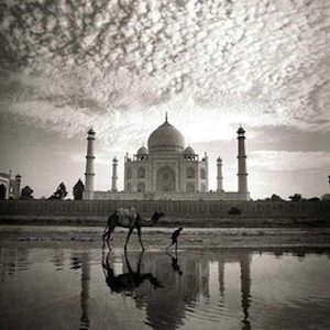 India Taj Mahal Agra #8323 by Andreas H. Bitesnich, person leading a camel along water infront of the taj mahal