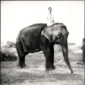 Kate Moss in Nepal, British Vogue, 1993 by Arthur Elgort, dhe model in white sitting on an Elephant