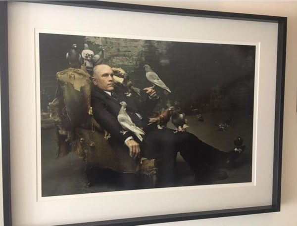 john malkovich with doves by Mark Seliger, the actor in a suit sitting in a broken armchair, surrounded by doves, framed black
