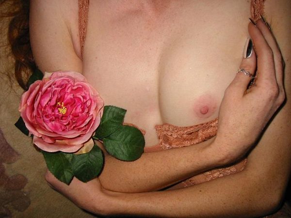 Celests Touch 4 by Iris Brosch, closeup of a models nude chest with pink rose