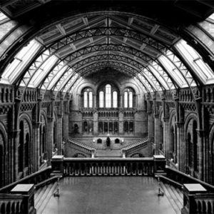 NHM London by Massimo Listri, interior view of the entry halls top floor with staircases, gothic wall decor and iron girder barrel vault