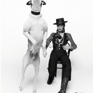 David Bowie Diamond Dogs by Terry O'Neill, the singer in high boots and hat with a dog jumping towards the camera