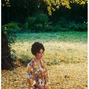 Elizabeth Taylor by Terry O'Neill, the actress in a yellow kimono dress sitting under a tree with yellow leaves