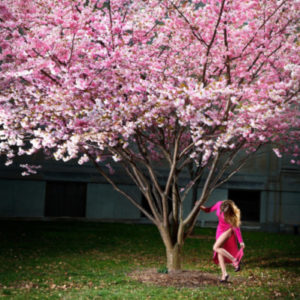 Pink Moment by David Drebin, model in pink dress under a pink blossomed tree