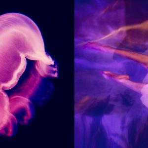 Washed by the moonlight by Guido Argentini, pink and purple dyptich of illuminated jellyfish and womens legs in a flowy gown