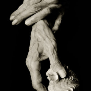 Jean Didions Hands - NYC 2005 by albert watson, old womans hands holding a shell