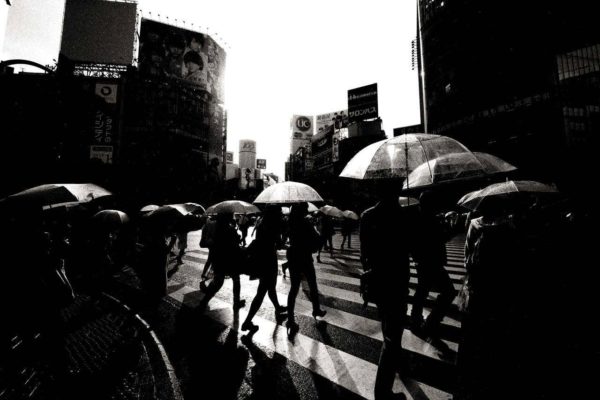 Shibuya Crossing, Tokyo by Andreas H. Bitesnich, people with clear umbrellas crossing the street