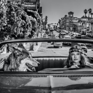 Chateau Marmont by David Yarrow, model and wolf driving in front of the famous hotel