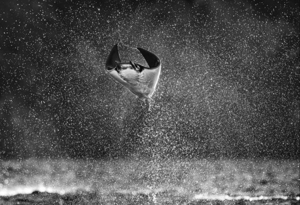 Mars Attacks by David Yarrow, a ray jumping out of the water between waterdrops