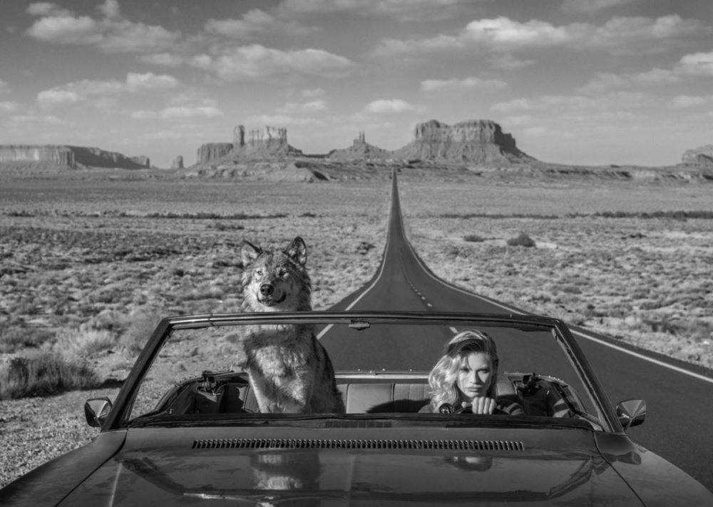Road Trip 2 by David Yarrow, model and wolf sitting in a car driving through monument valley