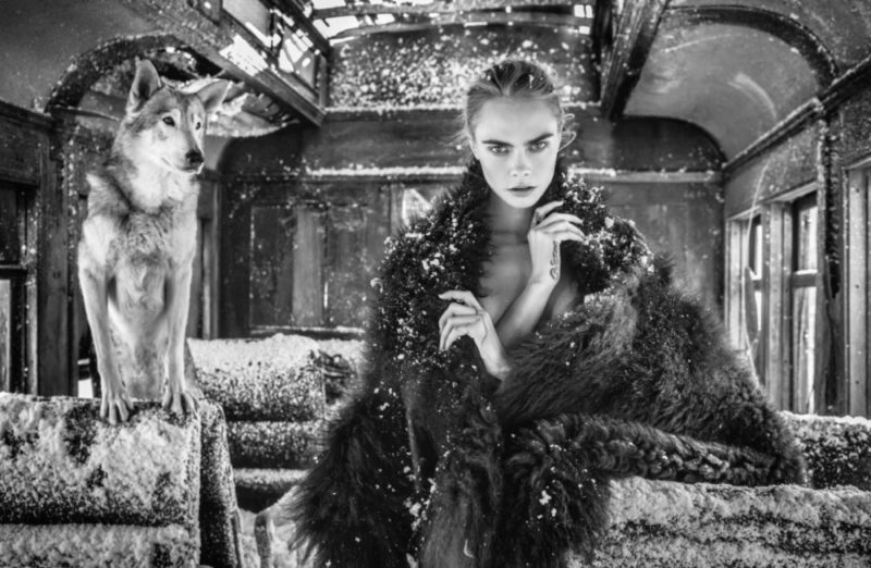 The Girl on Train by David Yarrow, nude model covered in fur in a broken train with snow, next to a wolf