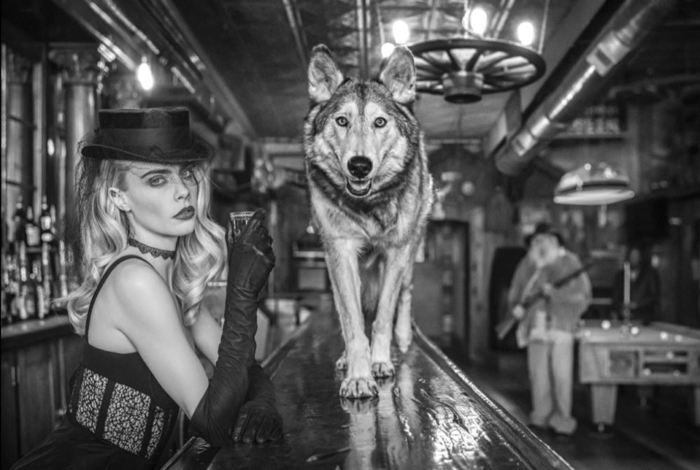 The final frontier by David Yarrow, Wolf standing on a Bar with a model in hat and gloves holding a shot next to him
