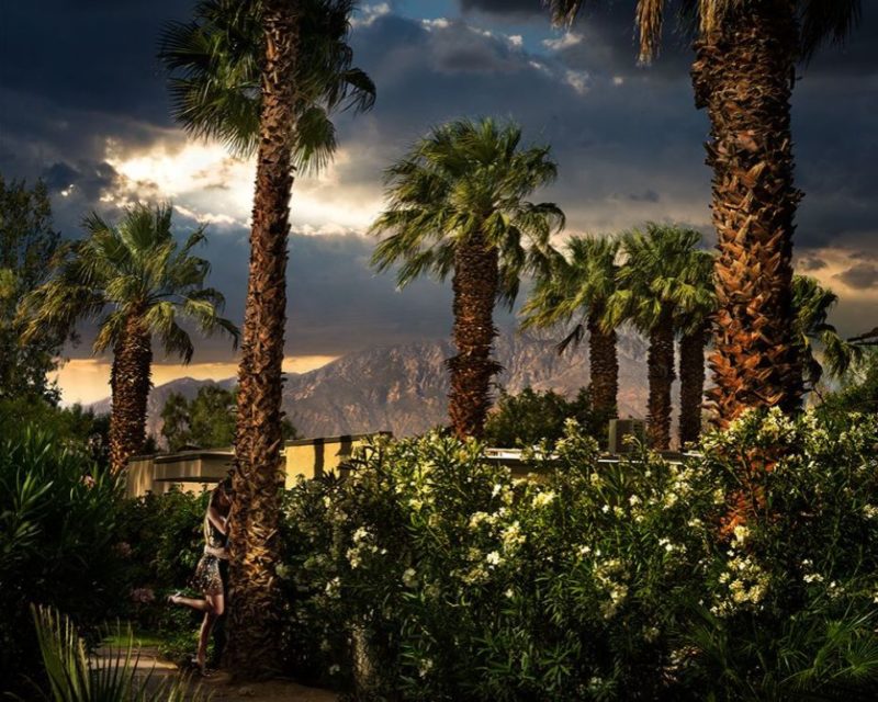 Hidden romance by David Drebin, model leaning on a palmtree in a garden