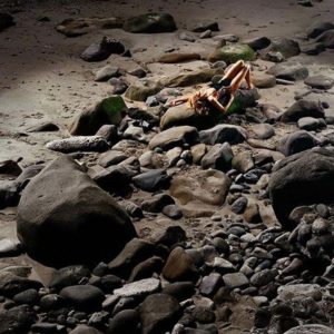 On the rocks by David Drebin, model in black bathing suit lying on rocks at the beach
