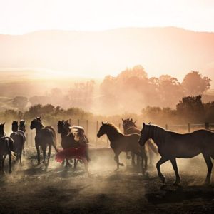 Running wild by David Drebin, model in red dress running inbetween horses with bright sun shining over hills in the background