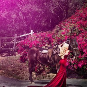 Watch out by David Drebin, model in red gown with western horse in front of pink flowers