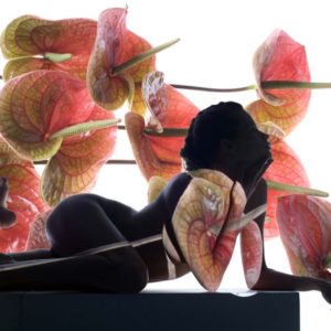 Untitled IV by iris brosch, model lying in front of bright background inbetween giant anthurium flowers