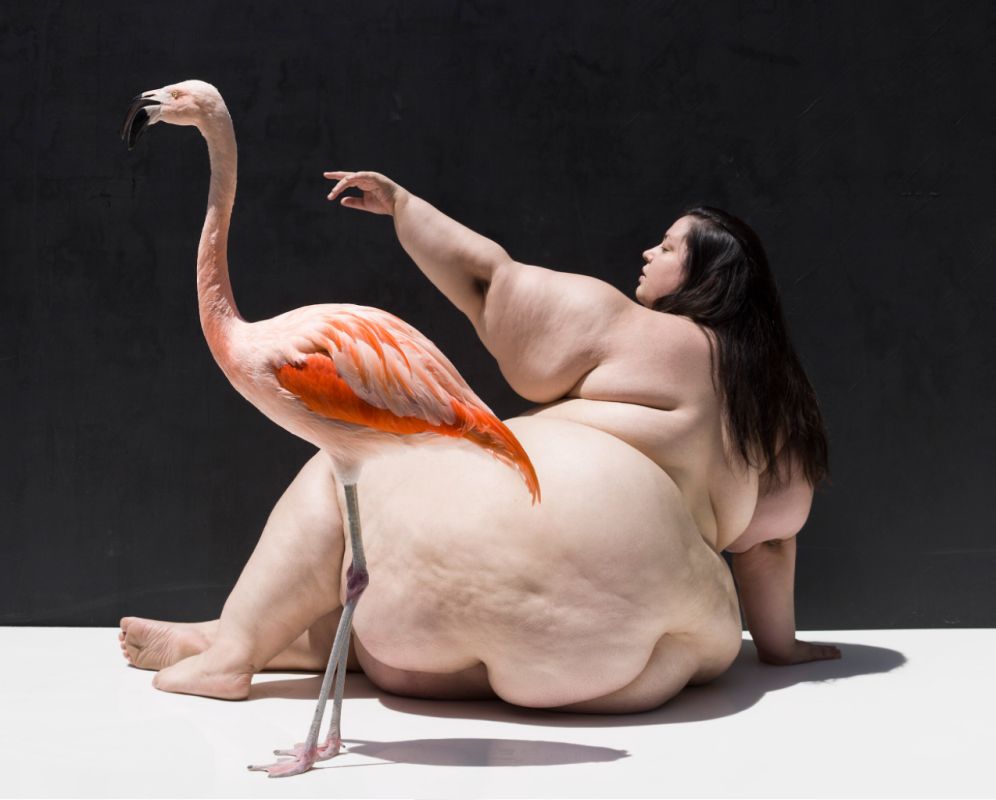 Birds by Sylvie blum, plus size model sitting in side profile next tot a flamingo