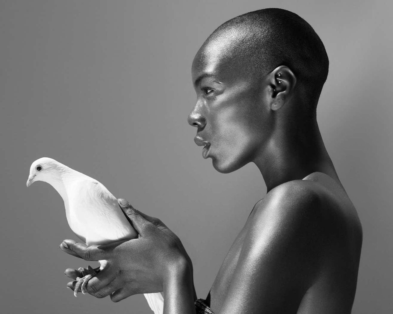 The pigeon by Sylvie Blum, bald model holding a white pigeon