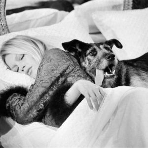Brigitte Bardot with dog by Terry O'Neill, the model sleeping with a dog next to her