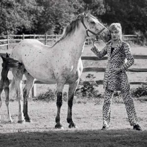 Rod Stewart by Terry O'Neill, the musician with a mare and foal wearing a leopard suit