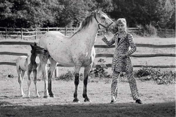 Rod Stewart by Terry O'Neill, the musician with a mare and foal wearing a leopard suit