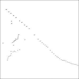 Birds by NIgel Parry from the Landscapes series, bird formation on front of white sky