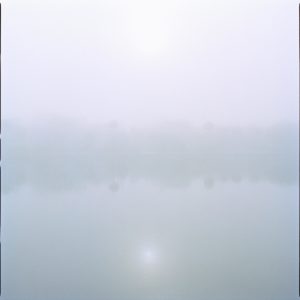 Lake I by Nigel Parry from the Landscapes series, trees by a lake in blue and purple mist
