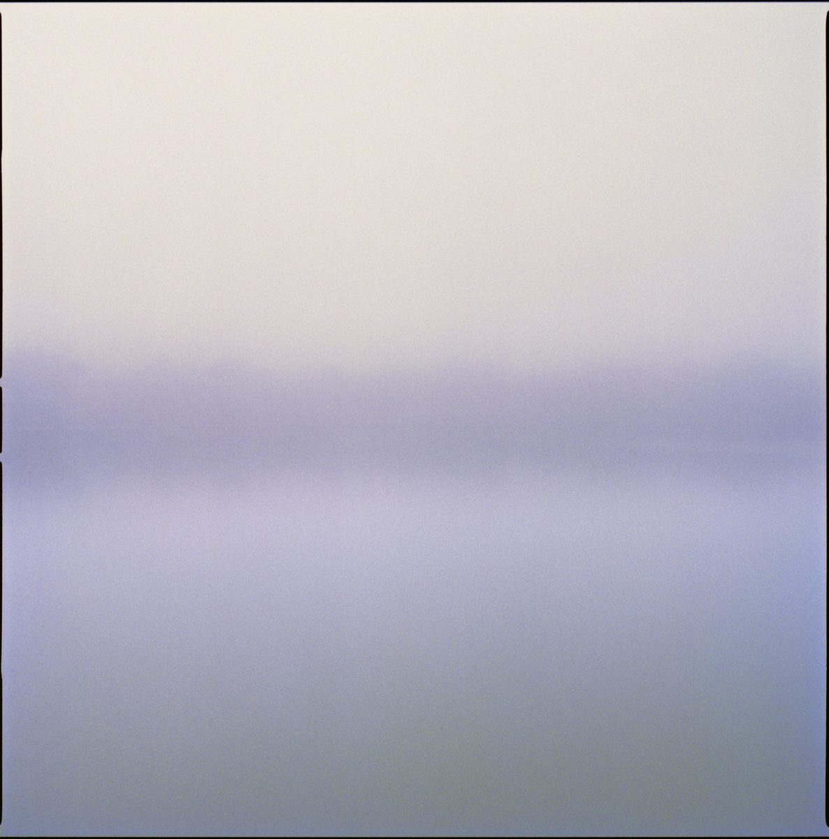 Lake III by Nigel Parry from the Landscapes series, trees by the lake in green and purple mist