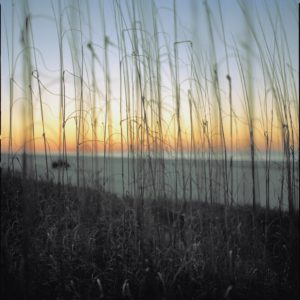 Sullivan Island II by Nigel Parry from the Landscapes series, high grass with ocean and sunset in the background