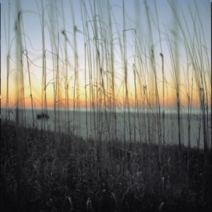 Sullivan Island II by Nigel Parry from the Landscapes series, high grass with ocean and sunset in the background