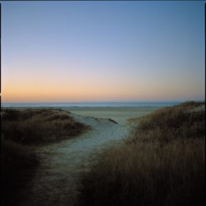 Sullivan Isalnd by Nigel Parry from the Landscapesseries, dunes with grass and the ocean with sunset
