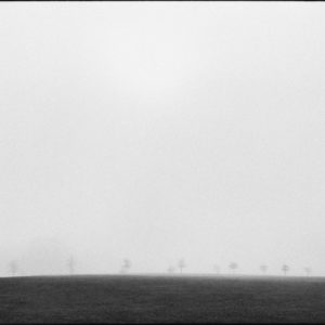 Trees III by Nigel Parry, far away trees on meadow and grey sky