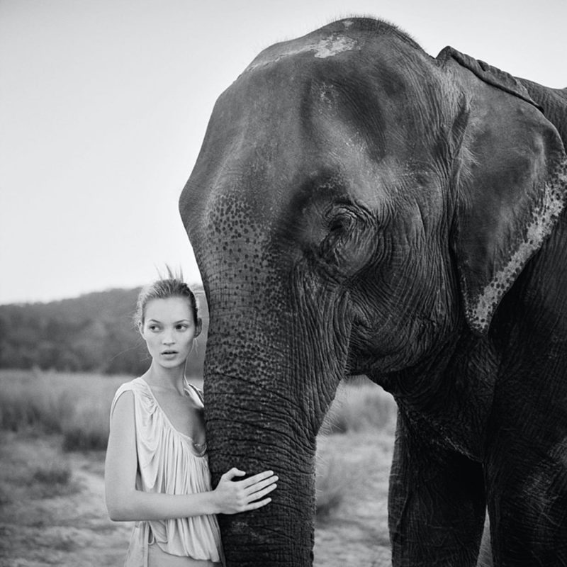 Kate Moss in Nepal II, for British Vogue 1993 by Arthur Elgort, the model in a white draped dress with an elephant