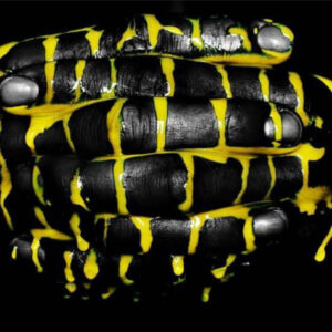 LLS #1032 by Howard Schatz, clasped hands painted black, yellow paint spilling over them