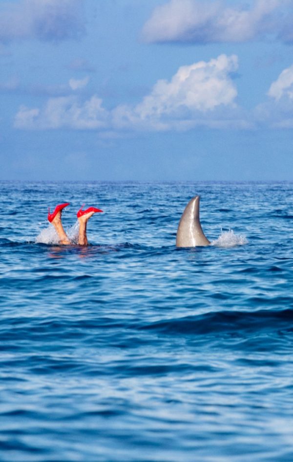 Shark Diver by Tony Kelly, legs in red heels next to sharks fin in the ocean