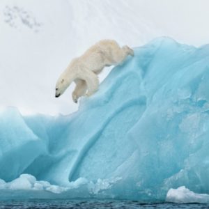 80 Degrees North by David Yarrow, polar bear on blue ice mountain