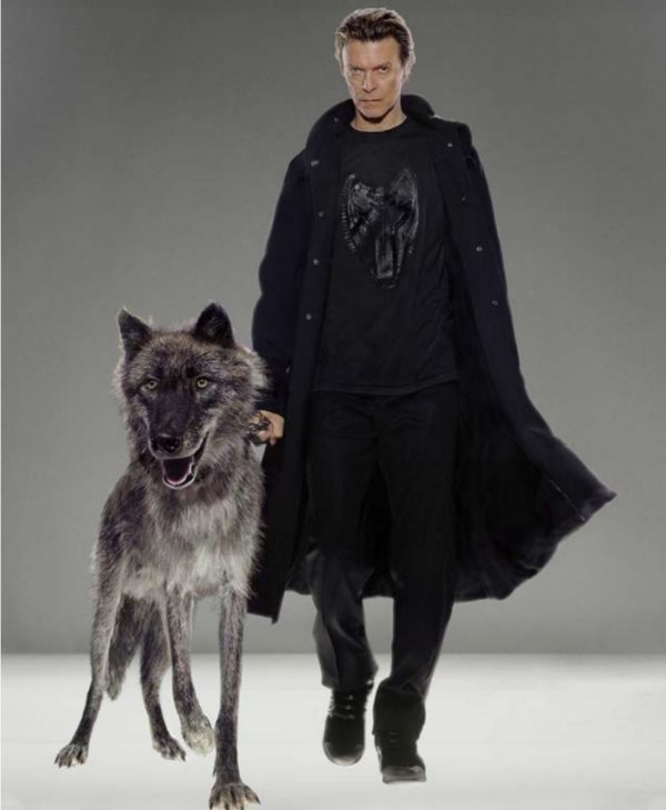 David Bowie, Natural Villains by Markus Klinko, the singer in black coat with wolfdog