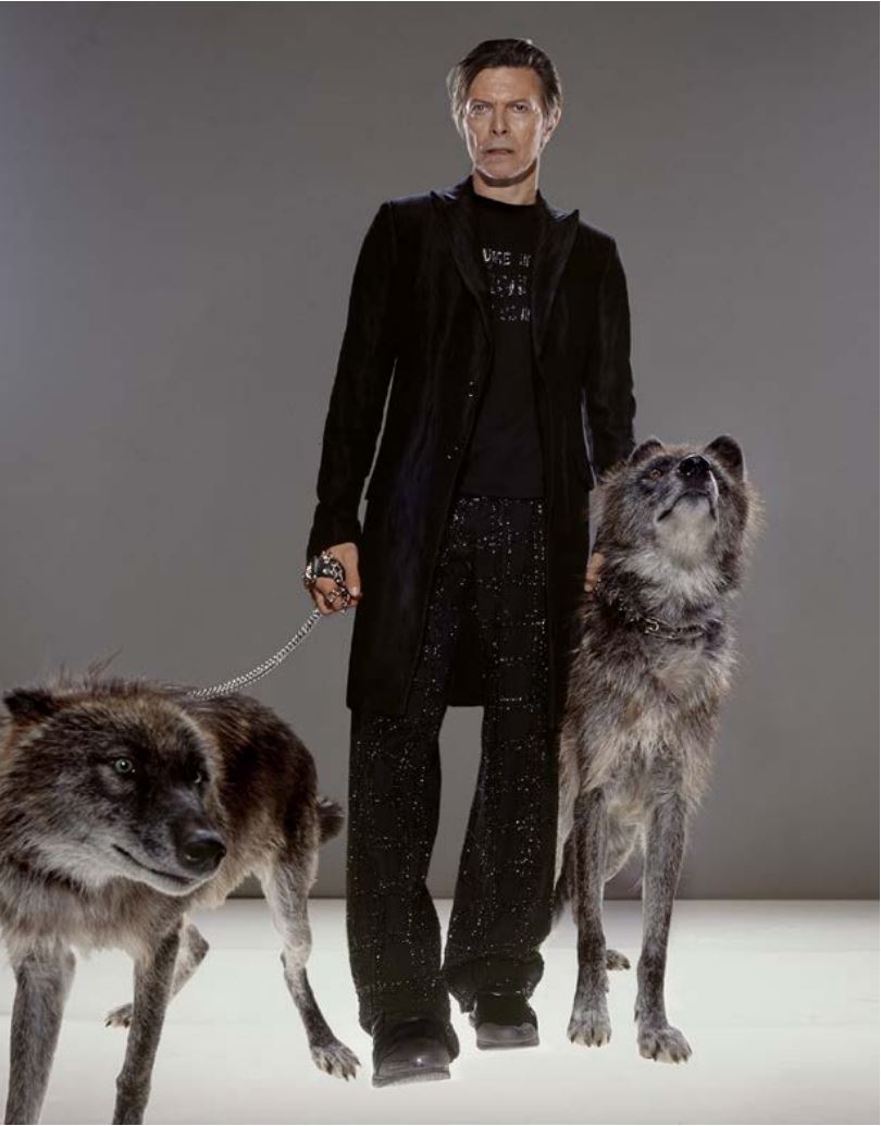 David Bowie, The Hunt by Markus Klinko, the singer in black suit with two wolfdogs