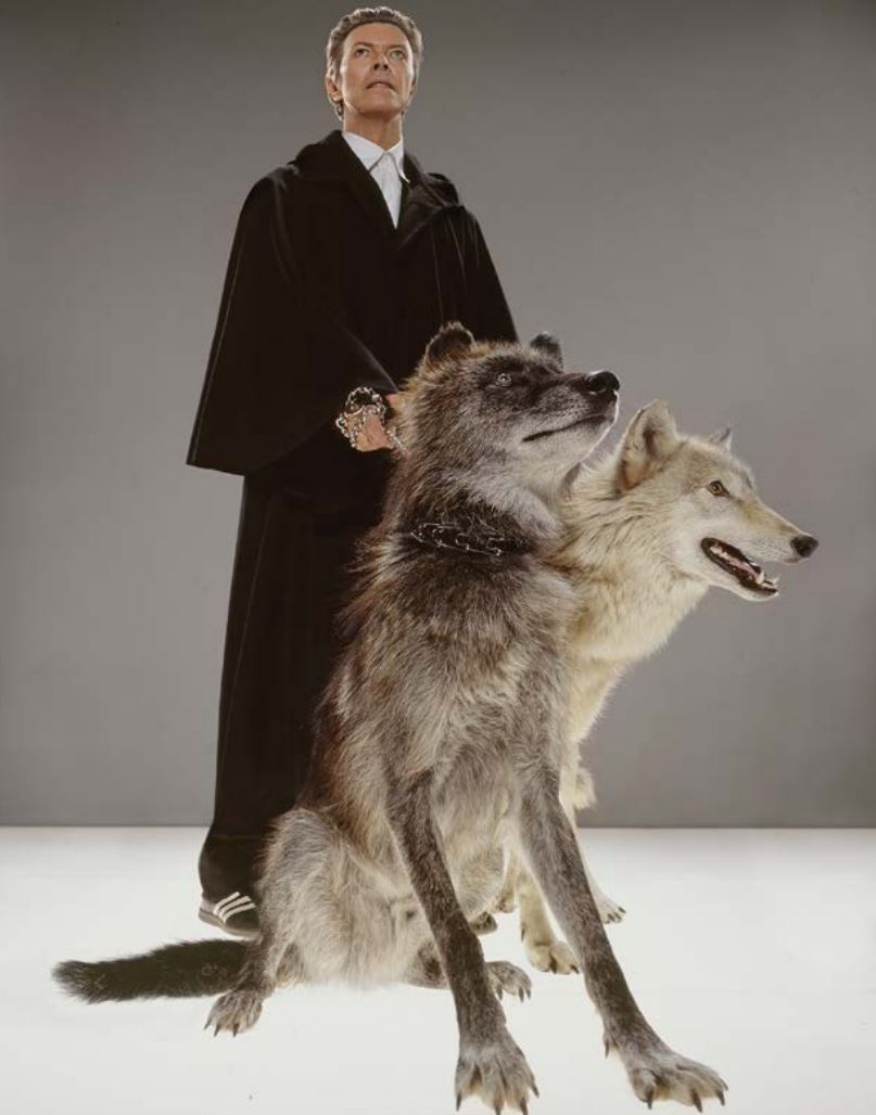 David Bowie, the Pack by Markus Klinko, the singer in black robe with two wolfdogs