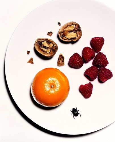 Raspberries with Walnut, plate with fruits, Nuts and Bug