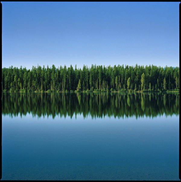 Montana 22 by Nigel Parry, Lake and trees reflecting in the water with clear sky