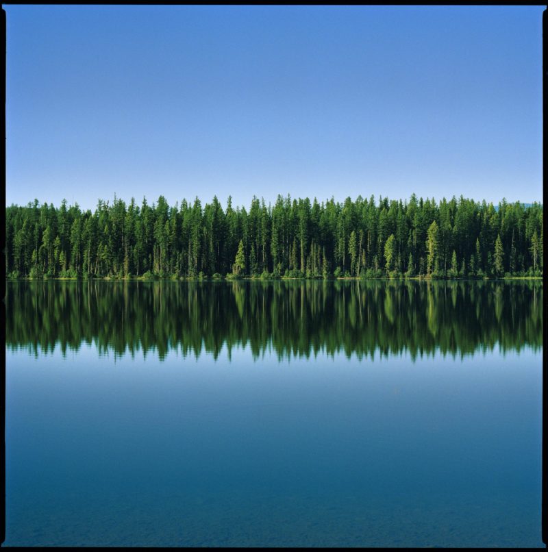 Montana 22 by Nigel Parry, Lake and trees reflecting in the water with clear sky