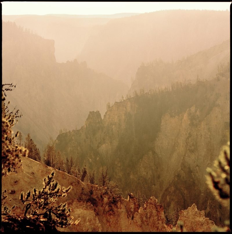 Yellowstone 28 by Nigel Parry, mountain cliffs with trees in orange light