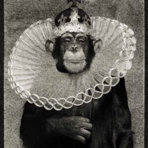 Ink Monkey by Albert Watson - Monkey wearing a crown and white collar