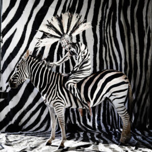 animal farm by Kristian Schuller nude in bodypaint sitting on a Zebra