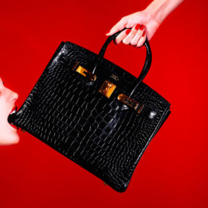 Shields, Black Birkin, luxury bag torn between a woman biting and a hand pulling, red background